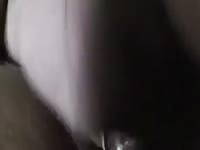 Sex with mare 2 2 Gaybeast - Animal Sex Man