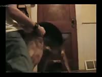 Sex with sheepdog Gaybeast - Dude and animal Sex