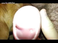 She is a licker gokarten