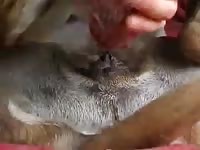 She loves it anyway Gaybeast - Man and animal Sex