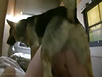 Sheppy gets a new piece of ass