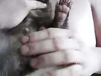 Skunk Gaybeast.com - Animal Porn Man