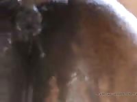 Sloppy seconds 3 Gaybeast - Man and animal Sex