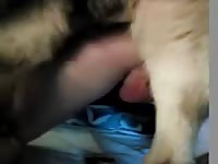 Slowmo fuck 2 Gaybeast - Beastiality with Dude