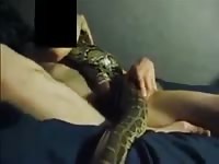 Snake man Gaybeast.com - Animal Porn Man