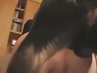 Solo en casa home alone Gaybeast.com - Zoophilia Man