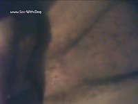 Some dalmation dildoging hollywood1976 aries2