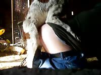 Spagnol knot Gaybeast.com - Animal Sex Man