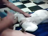 Startn out with my female pit beastfemale my girl2