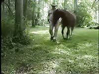 Strolling blowjob Gaybeast - Beastiality with Dude