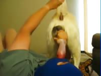 Suck dog cock Gaybeast.com - Dude fucks animal