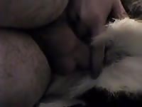 Huski Gaybeast - Bestiality Sex video with man