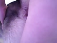 Husky anal 1 1 Gaybeast - Animal Porn Man