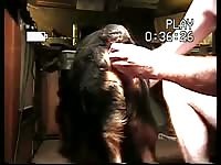 K9 anal toy Gaybeast - Zoophilia Man