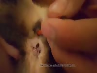 Kitty play Gaybeast.com - Bestiality Sex video with man