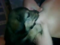 Lactating puppy Petsex.com - Man fucks animal