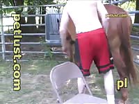 Licking mare s hole before sex