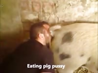 Love pig pussy Gaybeast.com - Bestiality Porn video with man