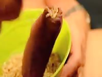 Maggots under foreskin 1 Gaybeast - Man fucks animal