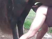 Horse Cock Gay - Latino guy sucks and humps horse cock full 1 Gaybeast - Beastiality with  Man - MadnessPorn Extrem Sex