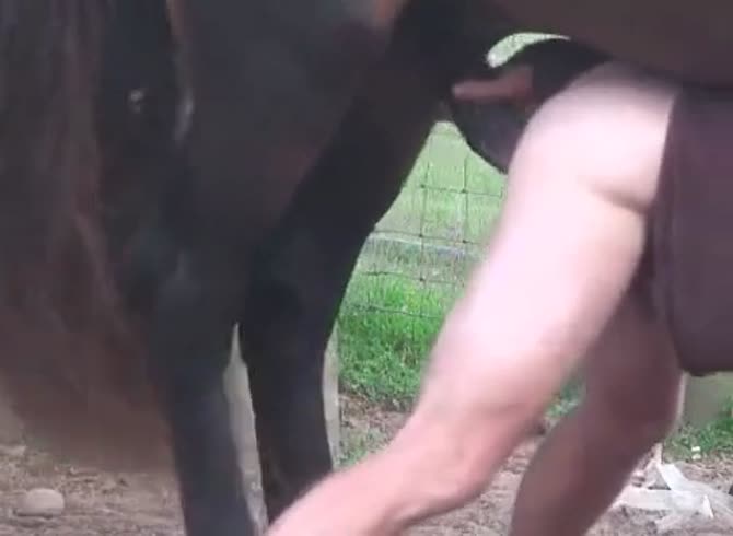 Nackt zoophilie male beast horse blowjob