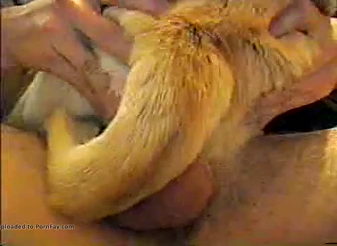 Pussy dog cums in Pussy Filled
