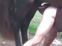 Man fuck by horse Gaybeast - Beastiality with Dude