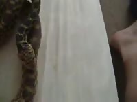 Man fuck snake