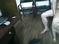 Man fucks bitch 2 Gaybeast.com - Beastiality Man