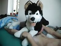 Man pawing off with 3 plush dog Gaybeast - Beastiality with Dude