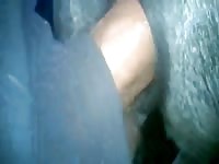 Mare fuck 2 1 Gaybeast.com - Animal Sex Man