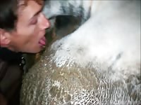 amateur boy fucking cow with animal scat