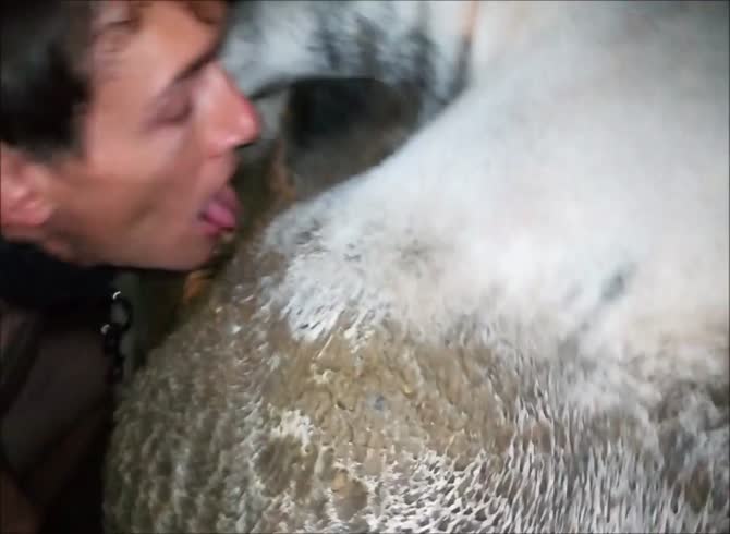 670px x 490px - animal scat fucking with cow and amateur boy - Scat, Zoophilia Porn  Homemade, Zoophilia Porn With Men at MadnessPorn