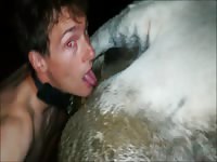 jeune minet zoophile baise une vache et mange la merde de l'animal