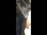 Zoophilia Porn With Dog on MadnessPorn