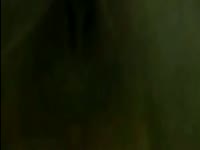 Bestiality Compilation - Zoophilia Porn at MadnessPorn