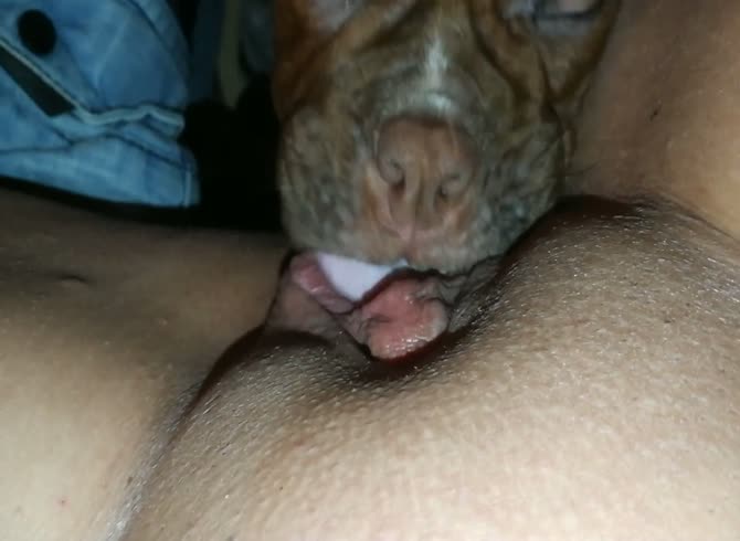 Pussy Licks Foto