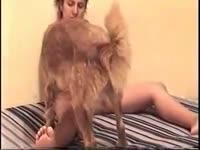 Erkek Sapık Porn Bbw Zoo Porn