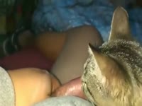 Lamelona cat - Zoophilia Porn, Zoophilia Porn With Men at ...