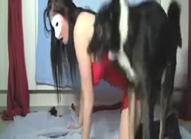 Masked brunette webcam dogsex - Zoophilia Porn, Zoophilia Porn With Dog at  MadnessPorn
