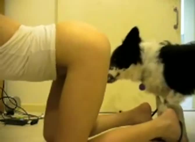 Dog Fucks Girl On Cam - Webcam girl fucks doggy in bathroom - Zoophilia Porn, Zoophilia Porn With  Dog, Zoophilia Porn With Teen at MadnessPorn