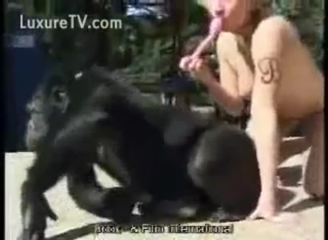 Monkey Zoo Porn - Blonde Bitch masturbates with a Monkey - Zoophilia Porn at MadnessPorn