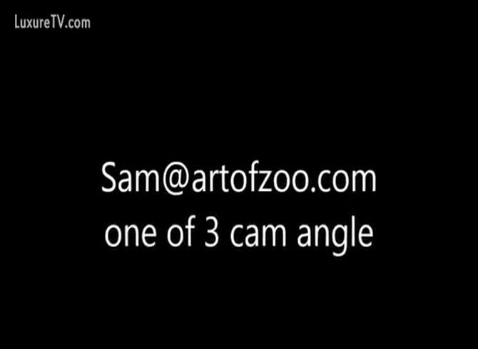 670px x 490px - art of zoo XXX - webcam angle - Zoophilia Porn at MadnessPorn
