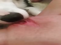 TEEN GIRL PISSES IN DOGS FACE IN THE MIDDLE OF GETTING ORAL