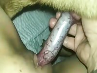 Young girl having fun with her dog's cock