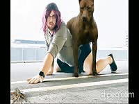 Zoophilia Porn With Dog on MadnessPorn