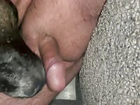 Neighbors dog makes me explode with huge cum load 