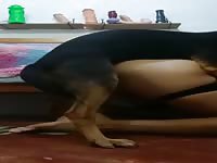 Fuck big dog anal