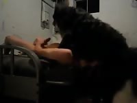 Throating a dog cock