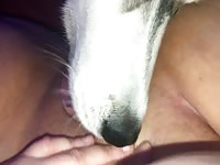 Peanut Butter Method